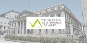 El Colegio de Veterinarios de Madrid solicita al Congreso que los veterinarios puedan suministrar la medicación necesaria hasta completar los tratamientos