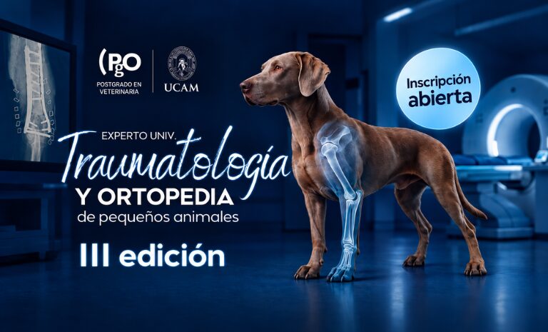 Experto Universitario en Traumatología y Ortopedia de Pequeños Animales – III edición