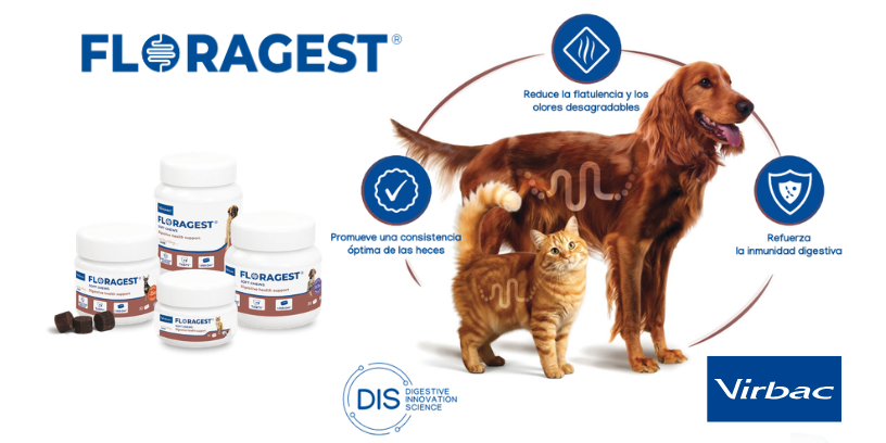 Protegido: Floragest®, la nueva innovación de Virbac que combina prebióticos y postbióticos para el bienestar digestivo de perros y gatos