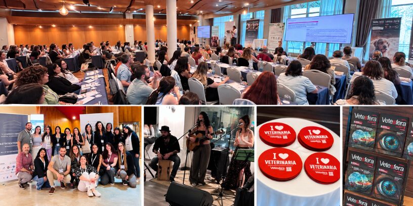 Formación, encuentro y buen ambiente protagonizan una exitosa cuarta edición del Congreso Científico del Hospital Veterinario Menes