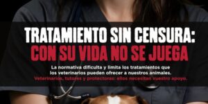 veterinarios