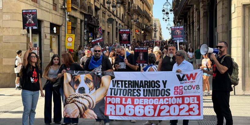 Más de 300 veterinarios y tutores de animales se manifestaron en Barcelona contra los efectos del RD 666/2023
