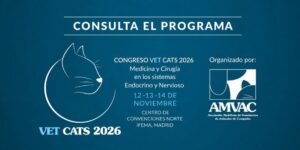 Protegido: El programa de Vet Cats 2026 reúne tres días de formación en neurología y endocrinología felina