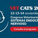Veterinarios Vet Cats 2026