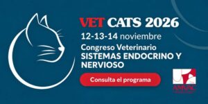El programa para veterinarios de Vet Cats 2026 reúne tres días de formación en neurología y endocrinología felina