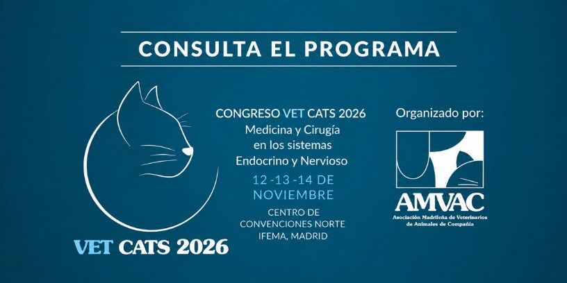 Protegido: El programa de Vet Cats 2026 reúne tres días de formación en neurología y endocrinología felina