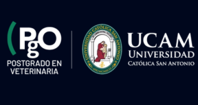 PgO UCAM VET, formación de postgrados y másteres en veterinaria
