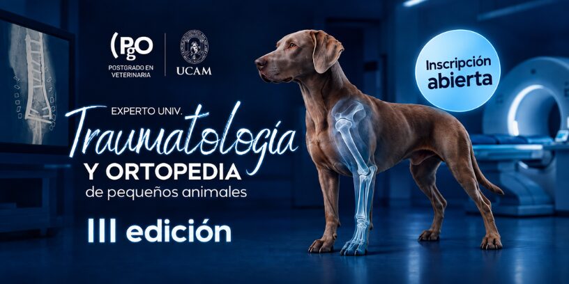 Protegido: PgO UCAM Vet abre la tercera edición de su Experto Universitario en Traumatología y Ortopedia de Pequeños Animales