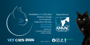 Vet Cats