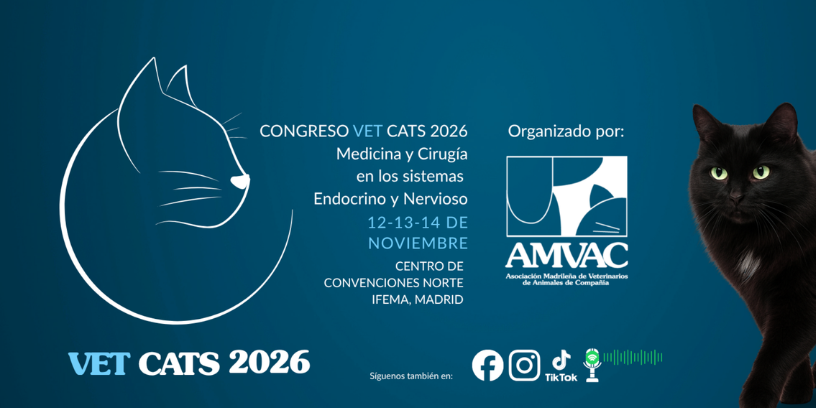 Vet Cats 2026: la cita de formación en medicina felina que no te puedes perder este noviembre