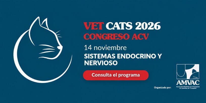 Vet Cats 2026 reunirá a los auxiliares veterinarios el sábado 14 de noviembre en una jornada sobre neurología y endocrinología felina