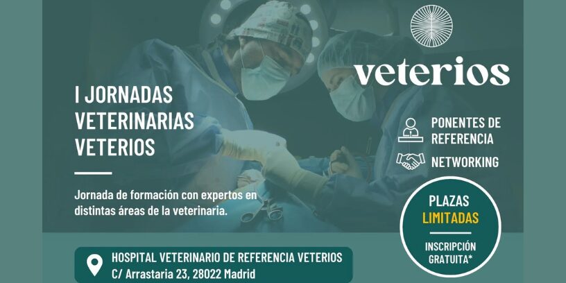 Veterios celebrará en Madrid sus primeras jornadas multidisciplinares con inscripción gratuita