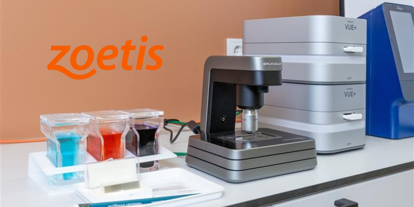 Zoetis lleva por primera vez a la clínica la detección de parásitos en sangre con IA gracias a Vetscan Imagyst