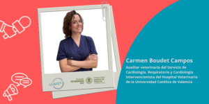 El camino del auxiliar veterinario hacia la especialización en cardiología veterinaria