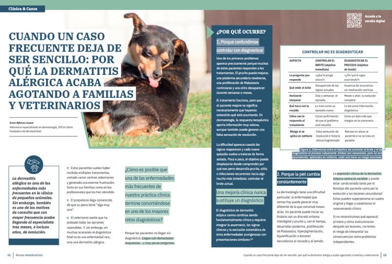Cuando un caso frecuente deja de ser sencillo: por qué la dermatitis alérgica acaba agotando a familias y veterinarios