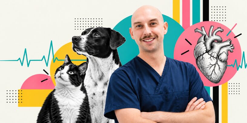 El abordaje del paciente cardiópata en la clínica veterinaria