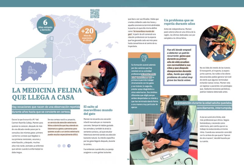 La medicina felina que llega a casa