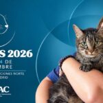 VetCats 2026