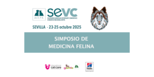 El Simposio de Medicina Felina se consolida como referente internacional en el 60º Congreso Nacional de AVEPA-SEVC25