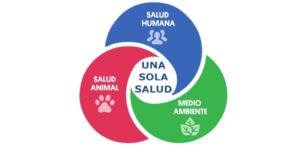 Día Mundial One Health: los veterinarios, en el corazón de la salud global