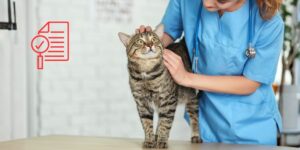 Gabapentina en gatos: qué evidencia existe sobre sus efectos sedantes, analgésicos y cardiovasculares