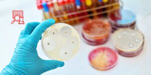 Diferencias en el uso de antimicrobianos entre veterinarios generalistas y especialistas