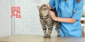 Bloqueo ESP torácico en gatos, nuevas evidencias anatómicas para comprender mejor su difusión