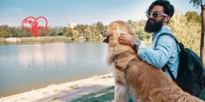 El impacto del vínculo humano-animal en el bienestar emocional en Europa