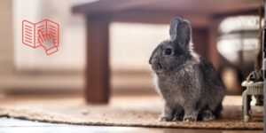 FEDIAF actualiza sus guías nutricionales para la alimentación de conejos domésticos
