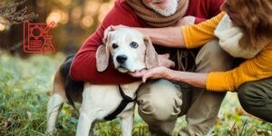 La suplementación con un 4 % de SDAP se asocia a cambios inflamatorios y menor cojera en perros sénior con osteoartritis