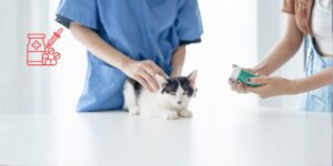 EIDD-1931 como posible alternativa en gatos con PIF