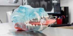 La radiografía dental es la base del diagnóstico, no un complemento