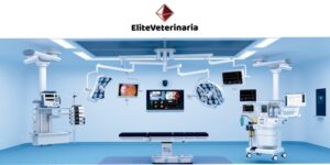 Más allá del precio: Cómo elegir equipamiento en clínica veterinaria sin cometer los errores que se pagan durante años